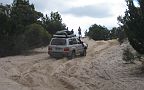 18-Some of the convoy watch Snapper enjoy the sand